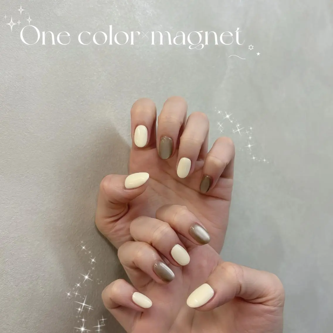 ネイル マグネットネイル ワンカラーネイル ハンドネイル ❤︎fein. nail❤︎のネイルデザイン