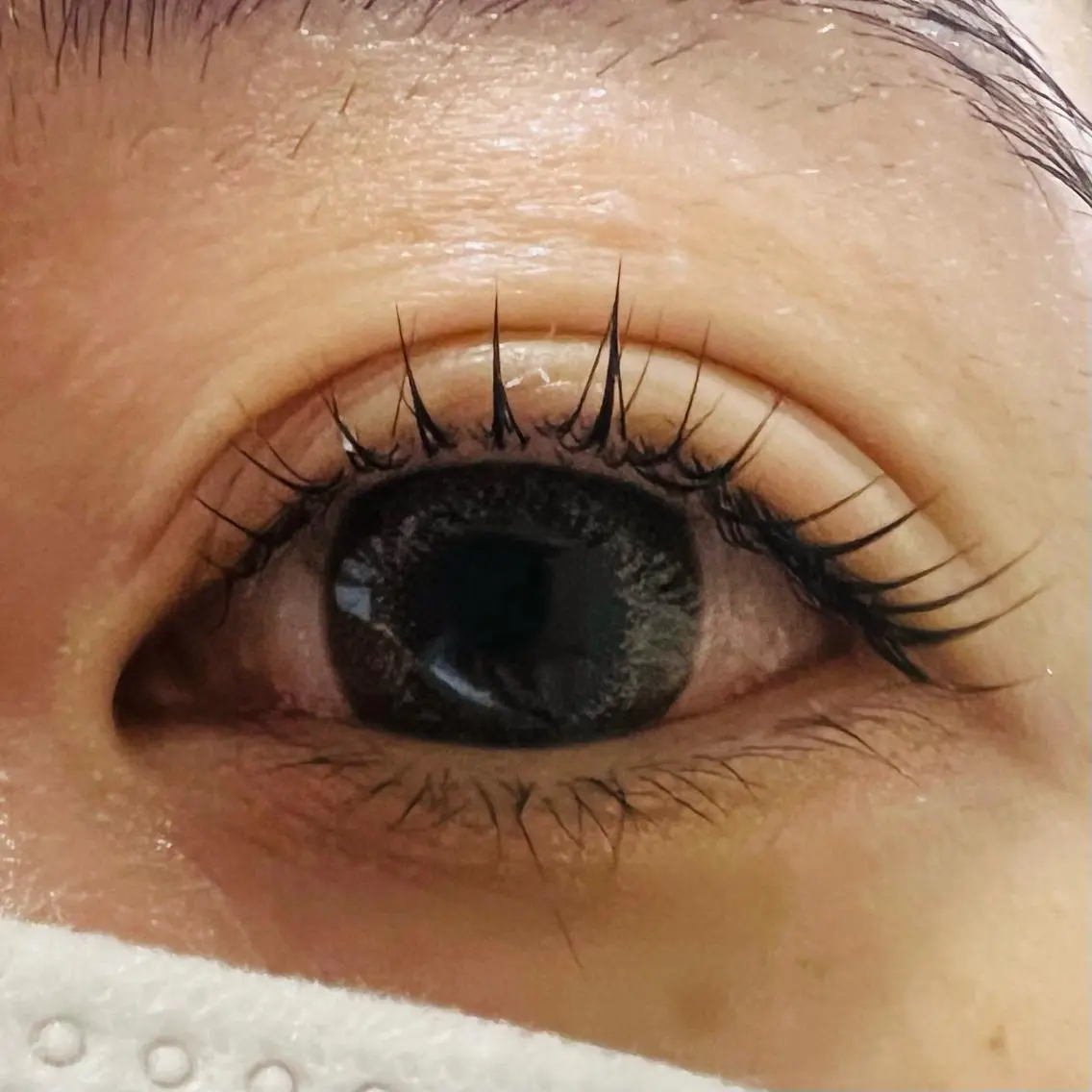 マツエク・マツパ WHITE EYE Maoの眉毛・アイブロウイメージ