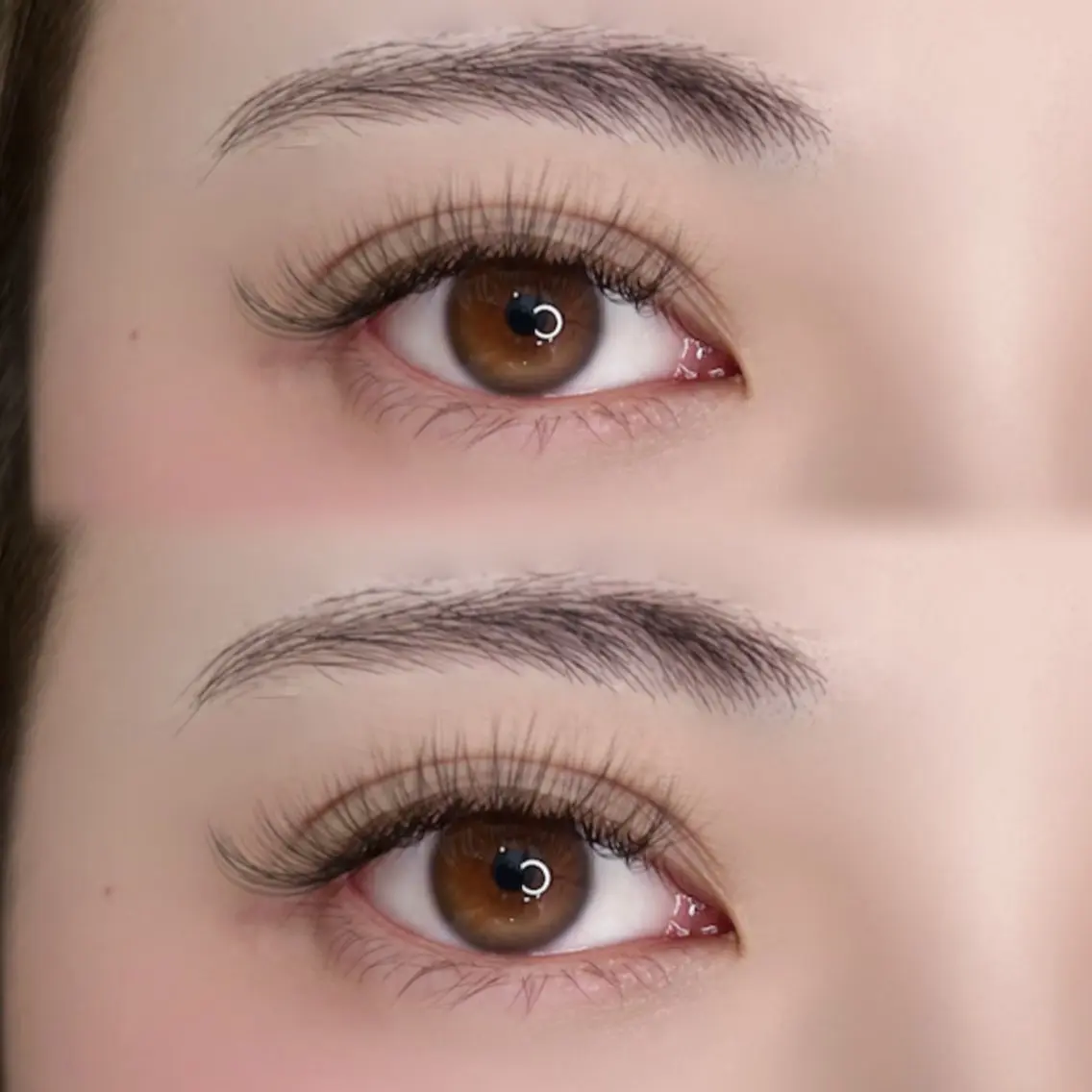 🌼1日1名3Dボリュームラッシュ300本🌼　練習モデル　オフ+500円の写真