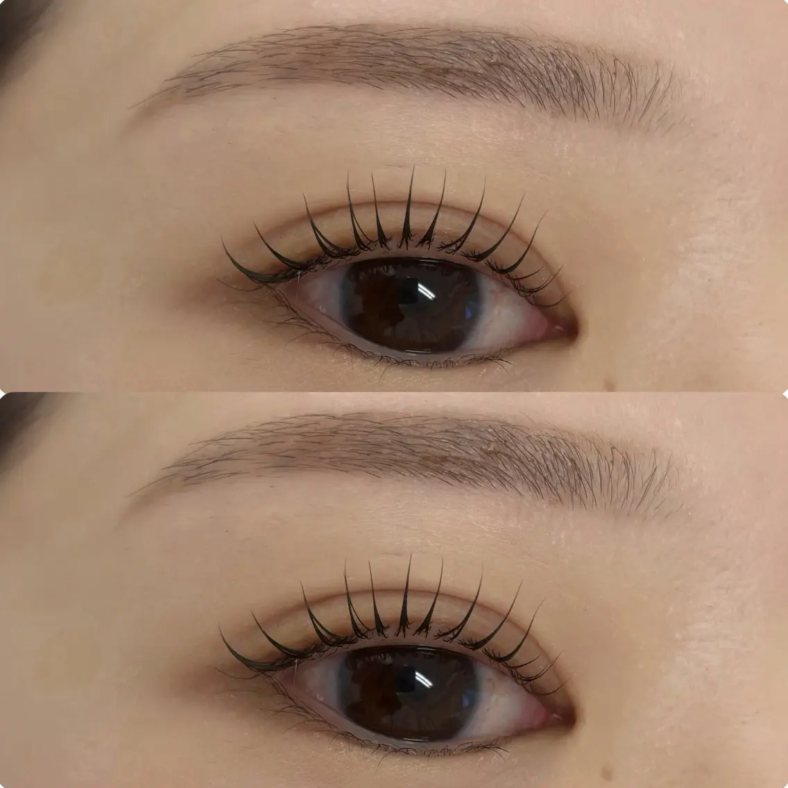 マツエク・マツパ eyelist 💙asakaの眉毛・アイブロウイメージ