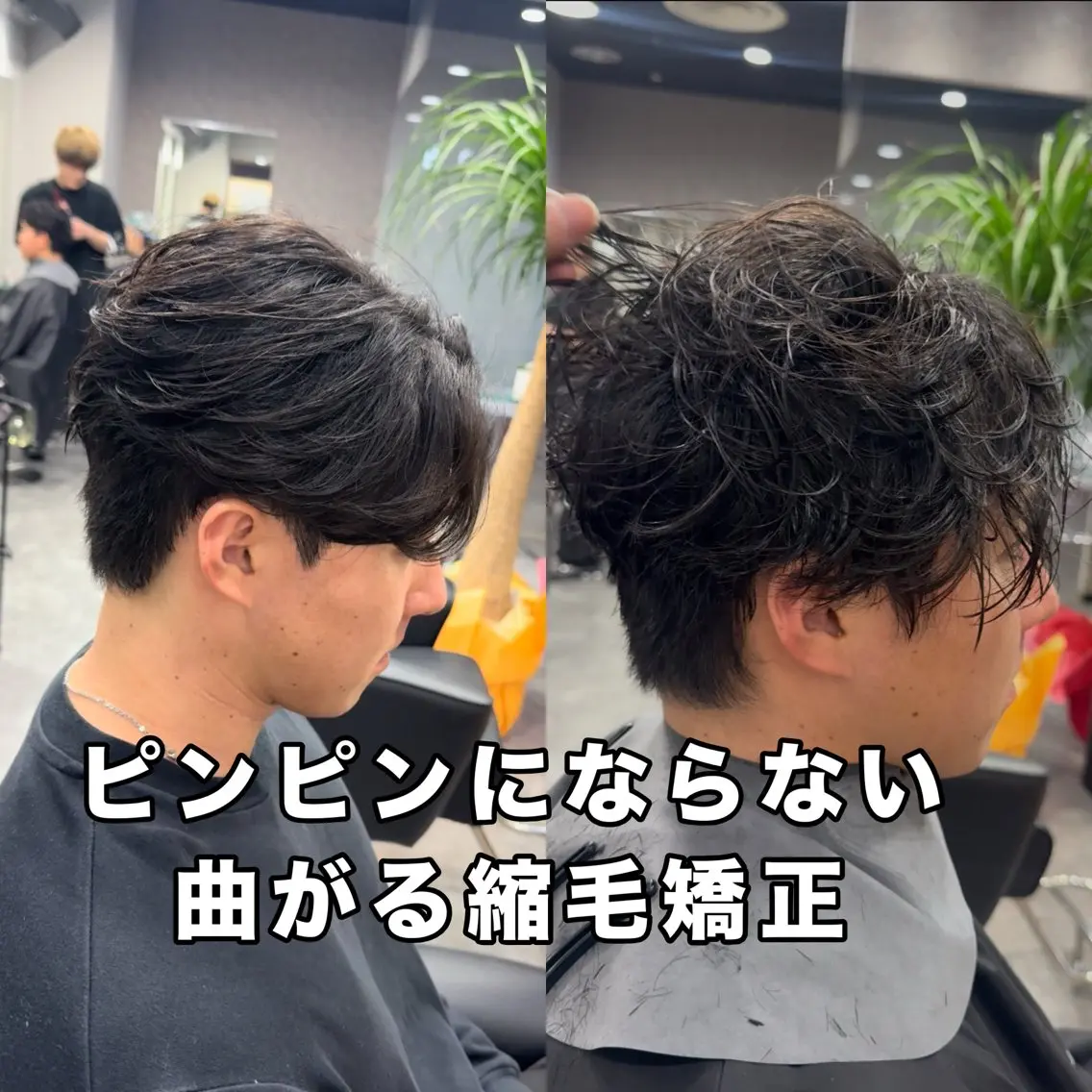 メンズ 縮毛矯正 本田 有里のヘアスタイル
