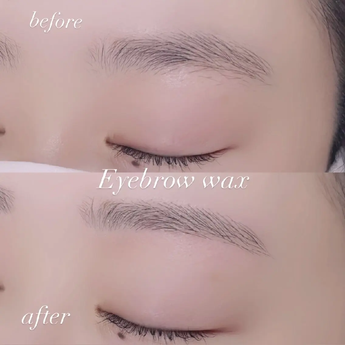 アイブロウ ワックス脱毛 眉カット その他(アイブロウ) 🐩Pupu lash🐩のマツエク・マツパデザイン