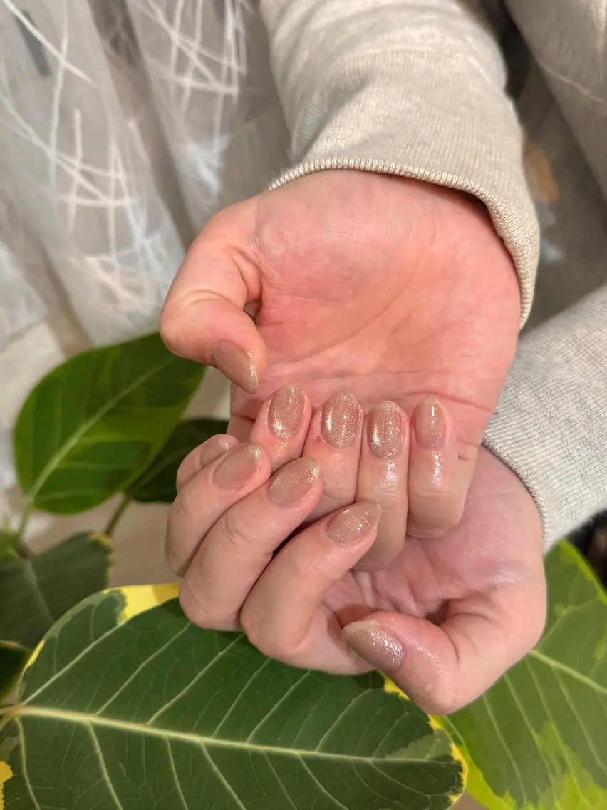 ネイル キラキラネイル マグネットネイル ハンドネイル ayaka naruのネイルデザイン