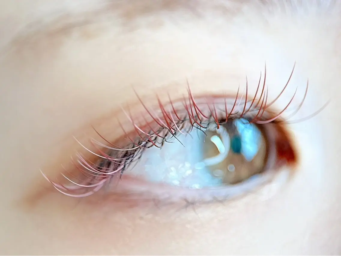 マツエク・マツパ カラーマツエク フラットラッシュ AYA 【eyelash】のマツエク・マツパデザイン