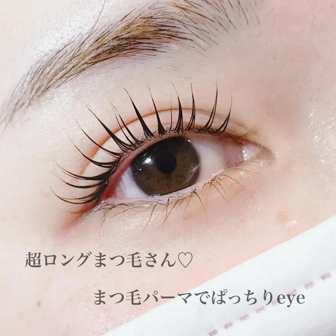 マツエク・マツパ eyelash catwinkのマツエク・マツパデザイン