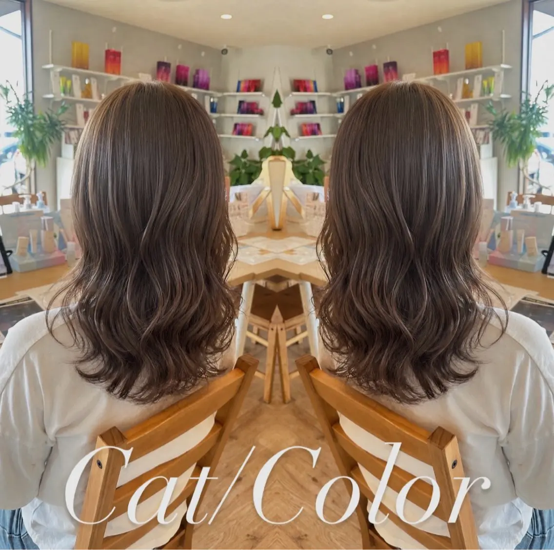 カットカラーの写真