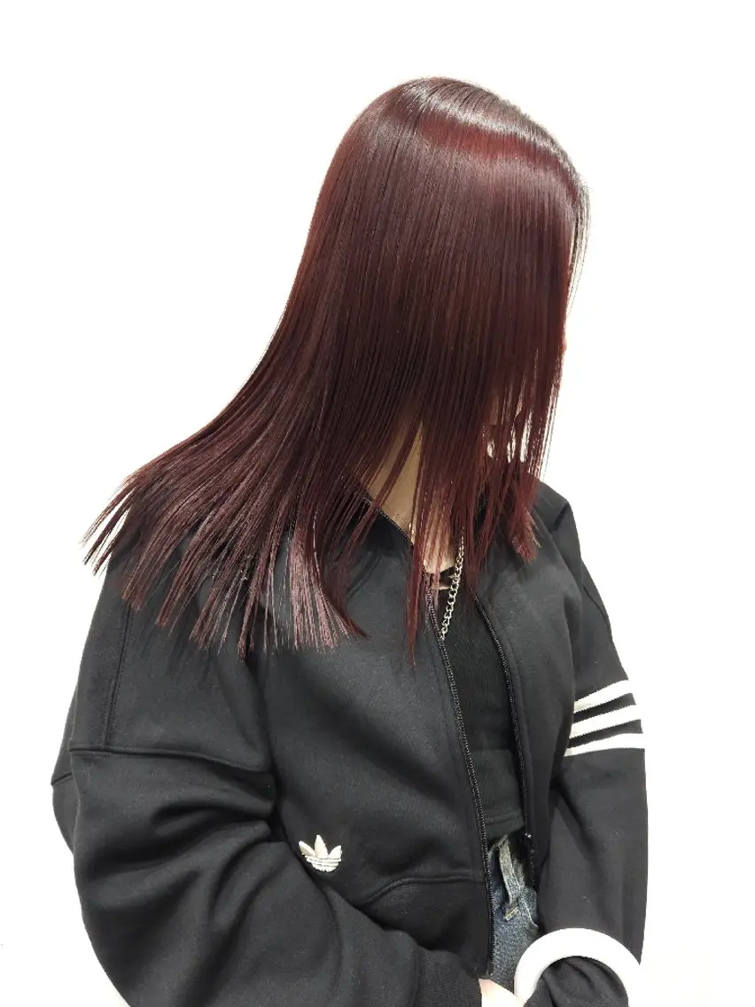 セミロング カラー ヘアアレンジ ブリーチ ボルドーカラー ブラウンカラー ケアカラー ブリーチなしカラー 成瀬 弘光のヘアスタイル