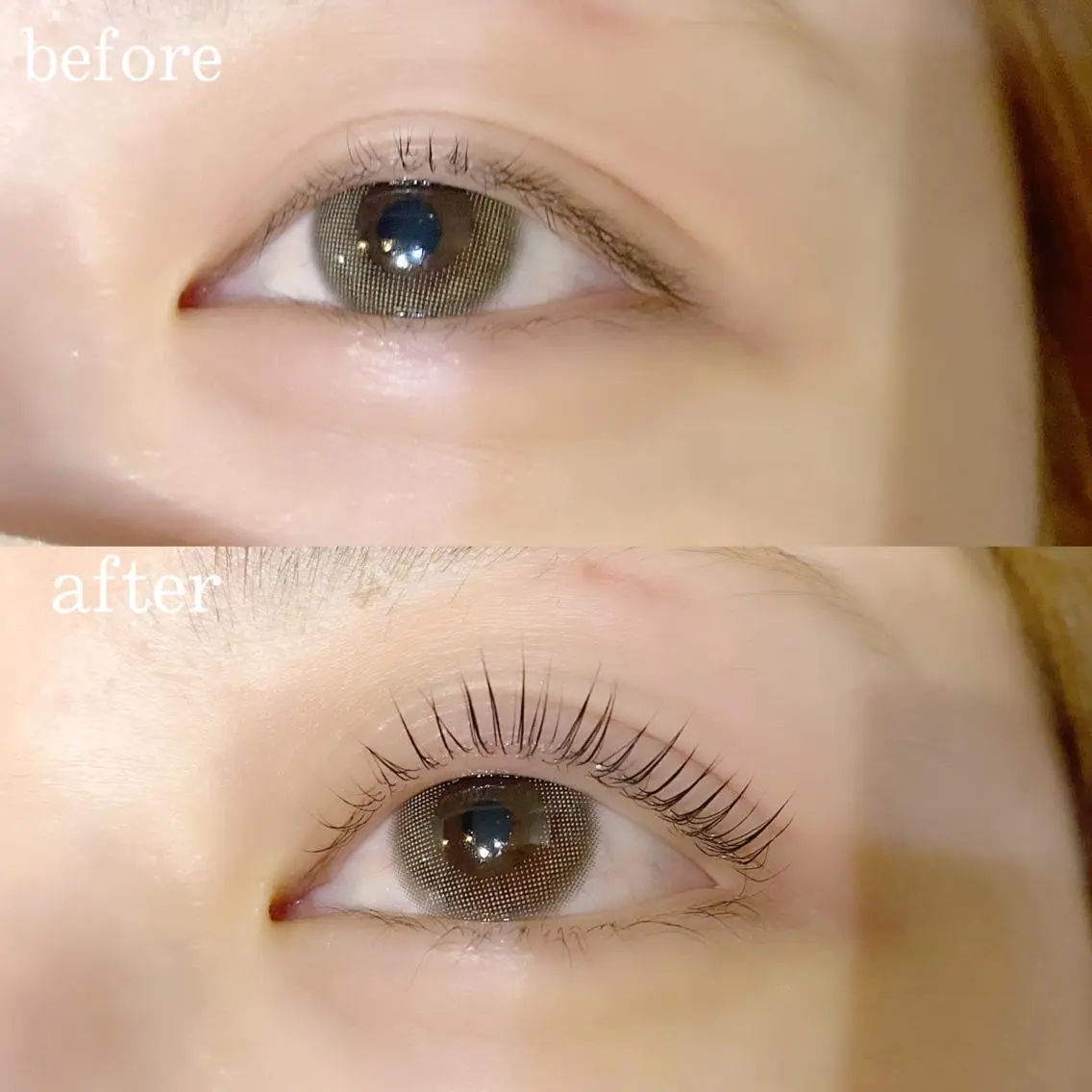 マツエク・マツパ パリジェンヌラッシュリフト マツパ eyelash "Koa"🕊🤎のマツエク・マツパデザイン