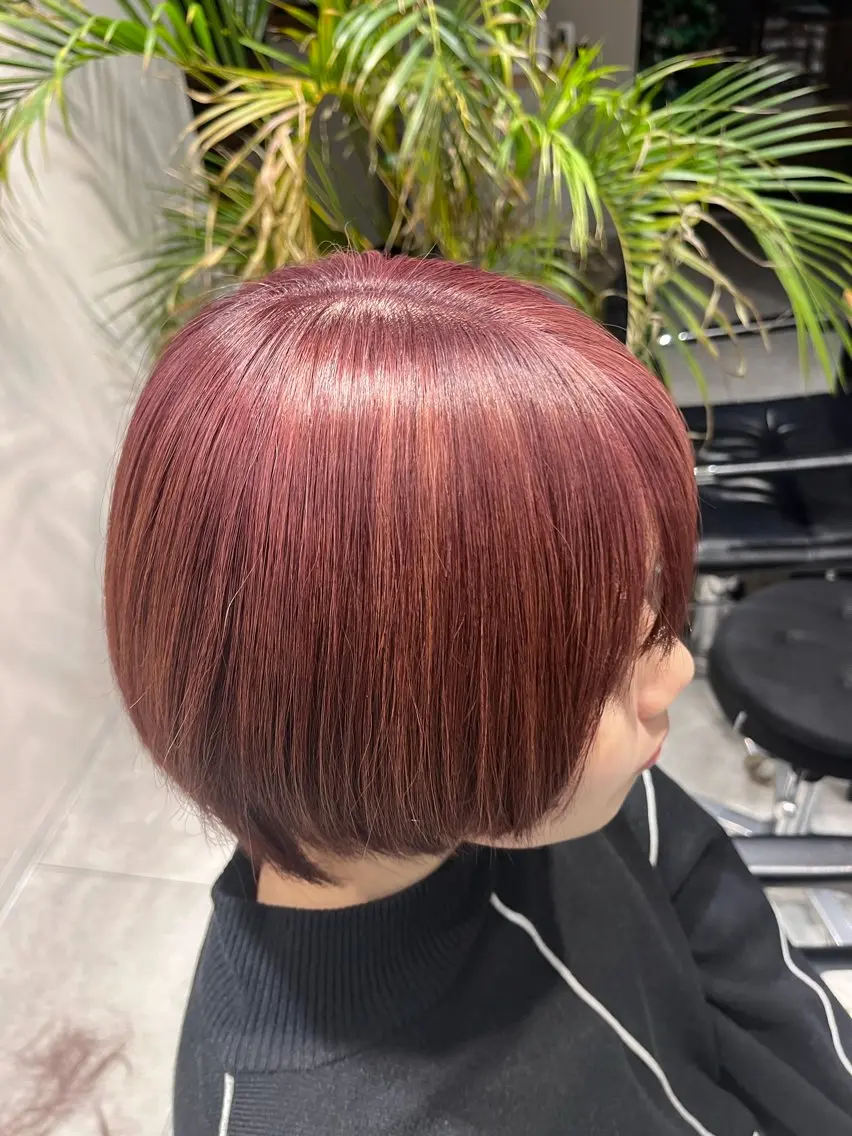 カラー ブリーチ ピンクカラー レッドカラー ブリーチ/縮毛矯正 ❤️‍🔥シンノスケのヘアスタイル