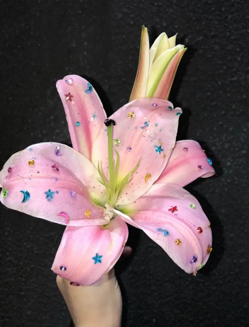 🎀下まつげパーマ🎀 ¥3000 コーティング付き🌟(45分程度)の写真