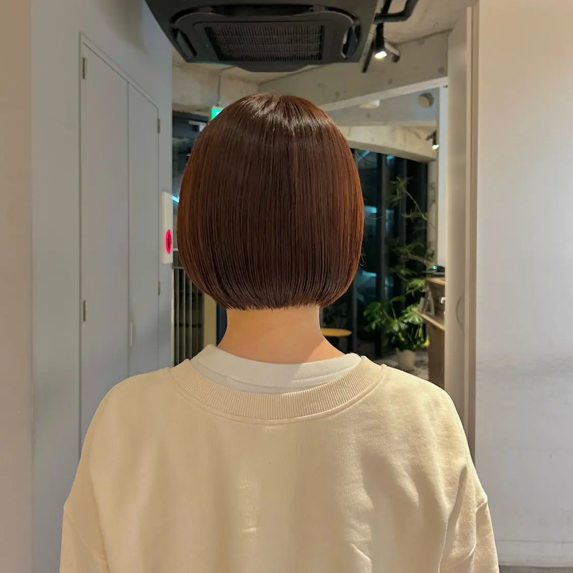 レディースカットの写真