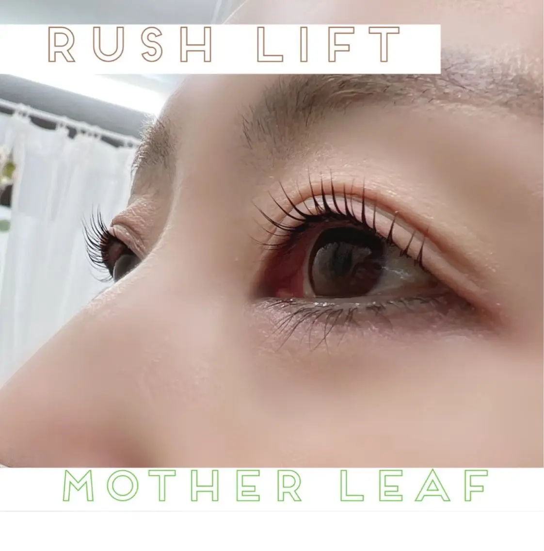 マツエク・マツパ マツパ MotherLeaf -mori-のマツエク・マツパデザイン