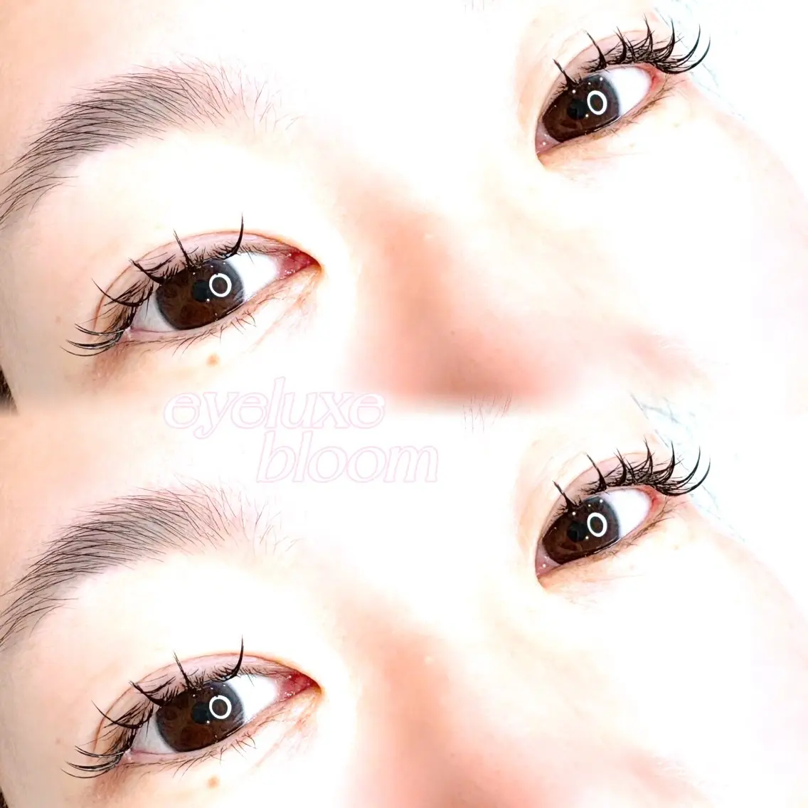 マツエク・マツパ eyeluxe bloom KANGのマツエク・マツパデザイン
