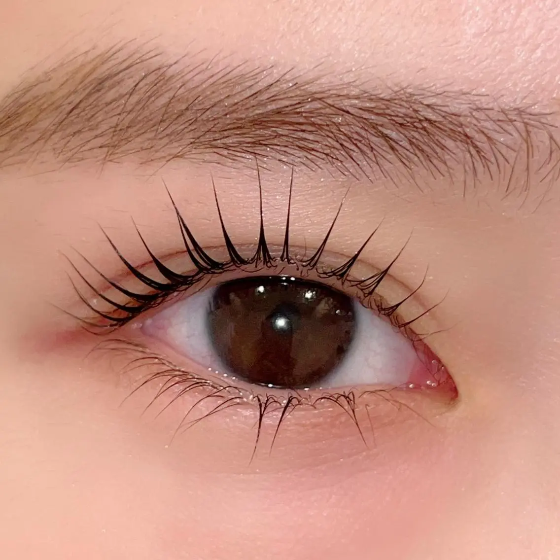 マツエク・マツパ パリジェンヌラッシュリフト まつげパーマ ai一重専門🎀束感 まつげ🫧表参道の眉毛・アイブロウイメージ