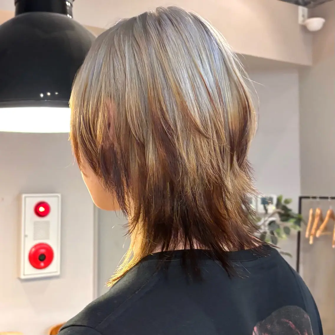 ミディアム カラー ウルフカット カット ヘアカラー トリートメント 複雑履歴/ レイヤー/ハッシュのヘアスタイル