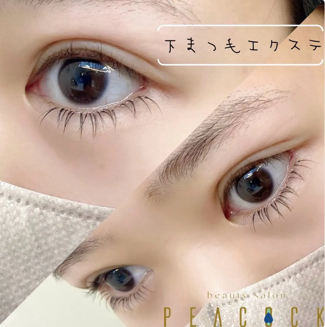 10名様限定🩰下まつ毛エクステ🩰 片目10本ずつの写真