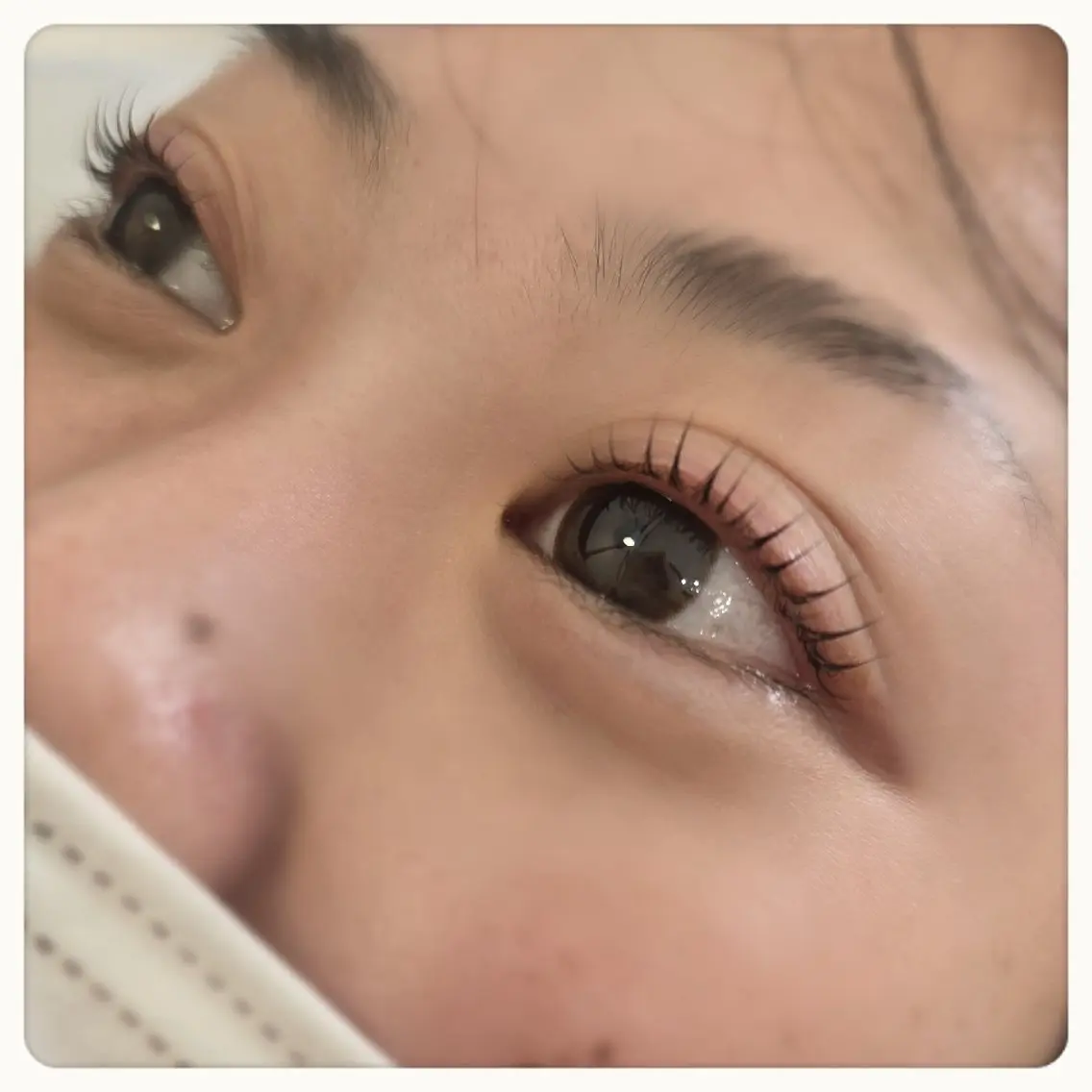 【5週間以内の方】✨上まつ毛パーマ✨アイシャンプー、トリートメント付きの写真
