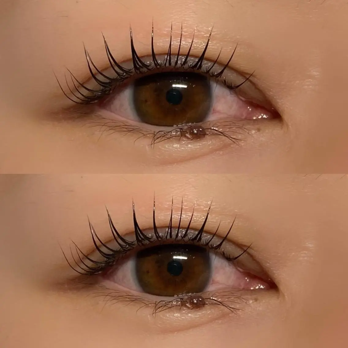 マツエク・マツパ パリジェンヌラッシュリフト まつげパーマ Lebon eye serina🦋のマツエク・マツパデザイン