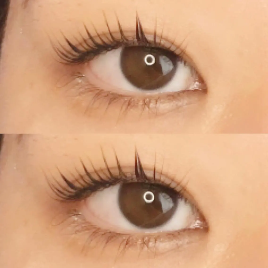 マツエク・マツパ 《eyelash ｉｉｔｅ》森のマツエク・マツパデザイン