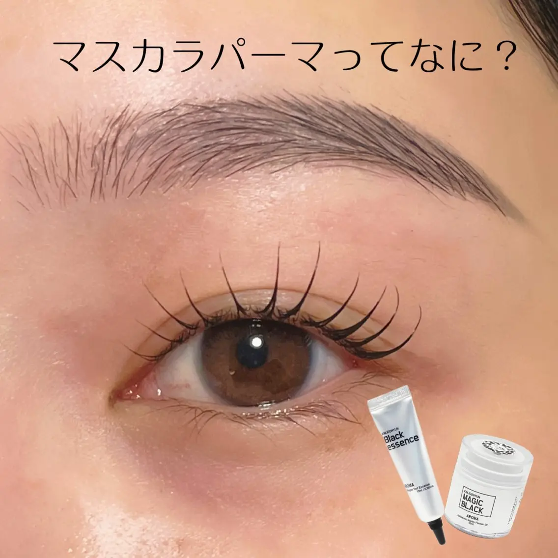 《🉐セットメニュー》アイブロウwax+マスカラパーマパーマ🐼の写真