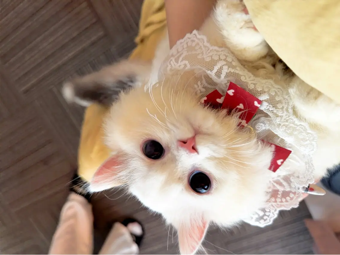 ネイル ハンドネイル WO MIAO💎のネイルデザイン