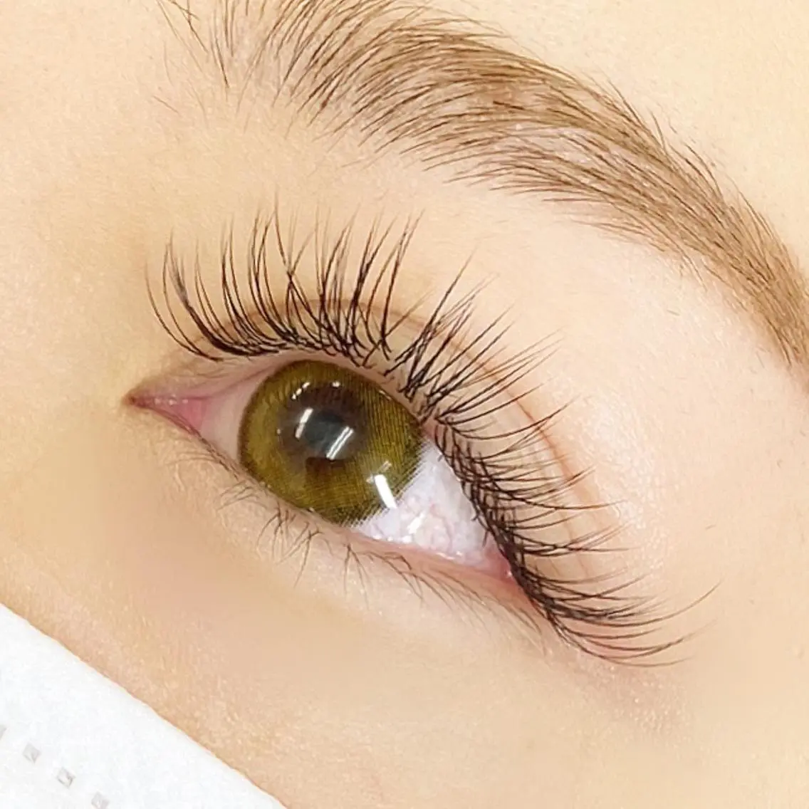 マツエク・マツパ eyelash R𓇼eri🐈️の眉毛・アイブロウイメージ