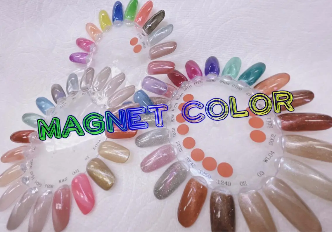 ハンド💅ジェルマグネットワンカラー🧲✨(オフ有)の写真