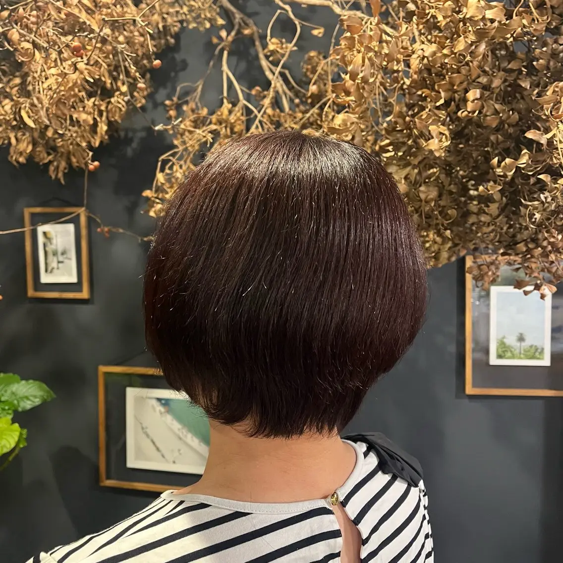 ショート 丸みショート ショートヘア 岸本 まほのヘアスタイル