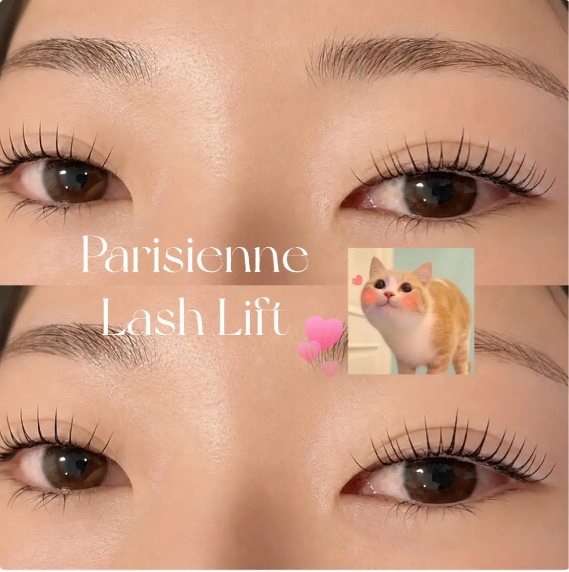パリジェンヌラッシュリフト【束間仕上げ🪄✨】の写真