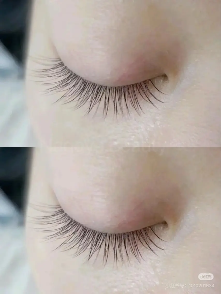 フラットラッシュ120本の写真