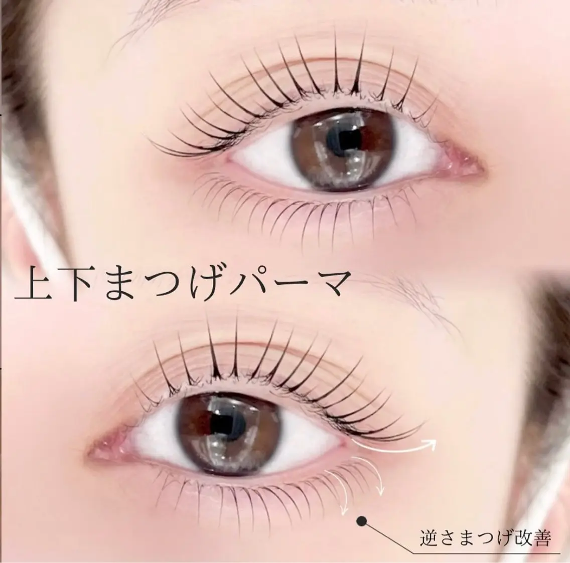 🫧メーテルラッシュリフト＋下まつげパーマ＋美容液コーティング🫧の写真