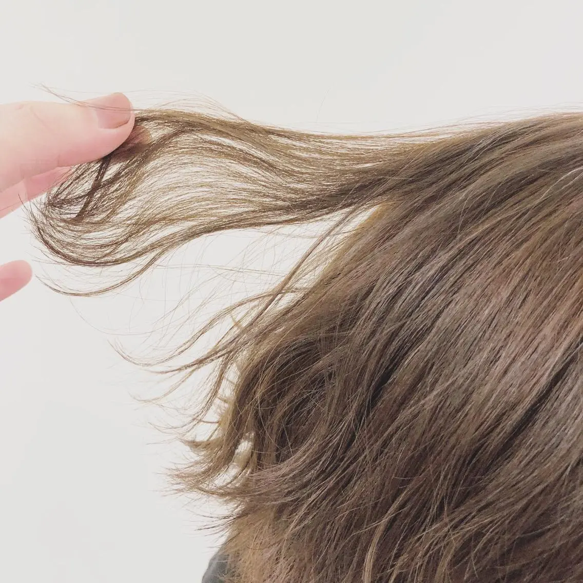 ショート カラー カット ボブ/パーマ 古家 佑真のヘアスタイル