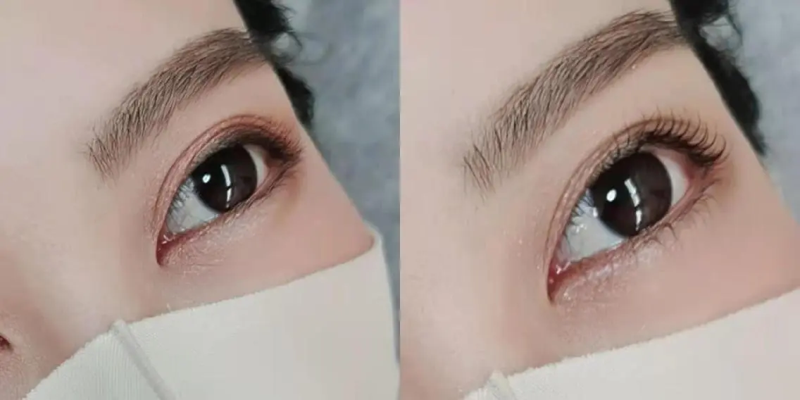 マツエク・マツパ まつげパーマ 下まつげエクステ 胡蝶蘭レディースサロ ン眉マツパエクステの眉毛・アイブロウイメージ