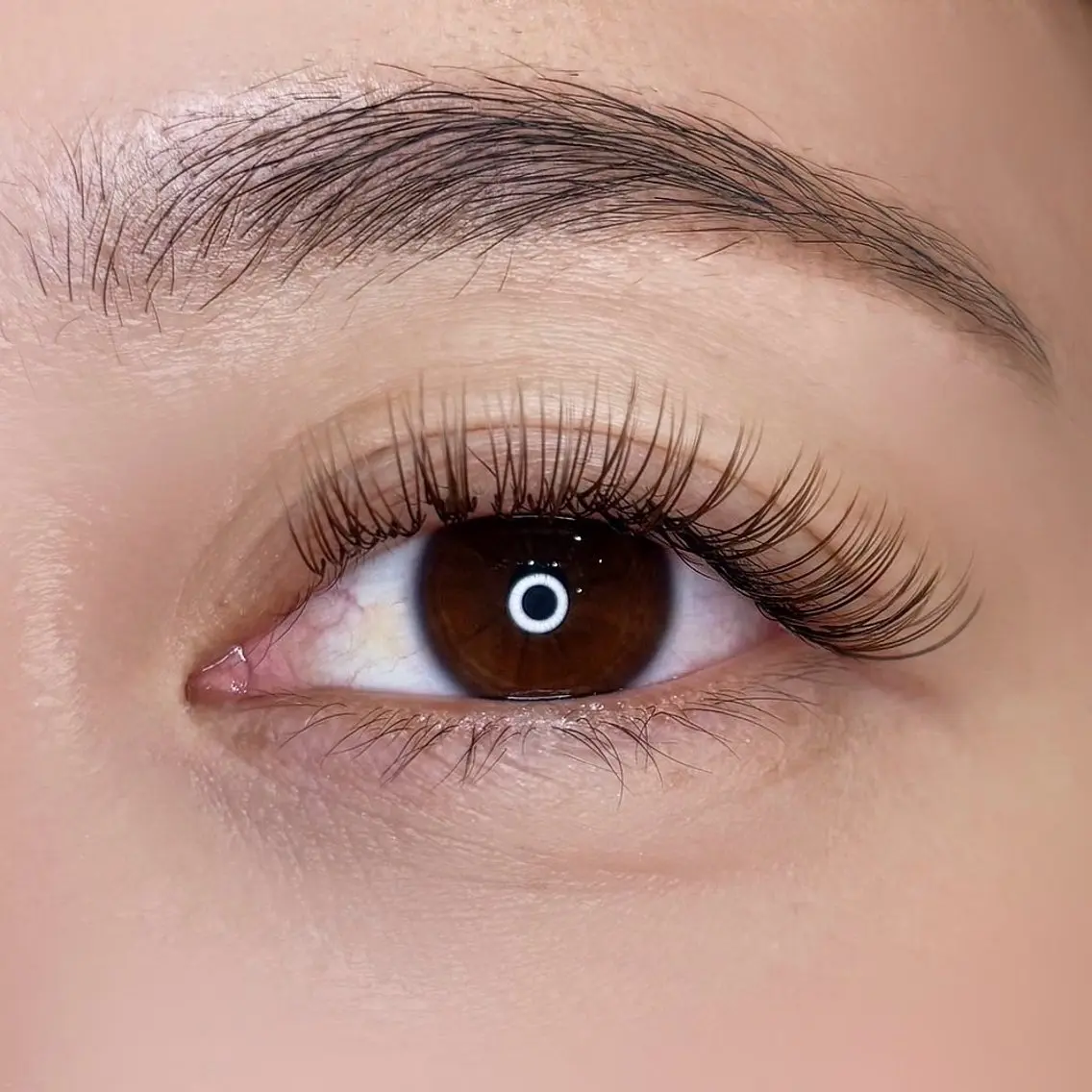 【練習モデル様募集】ダブルフラットラッシュ80束🧸オフ有+500円の写真