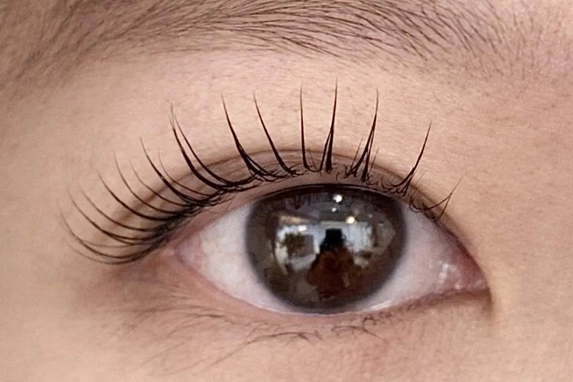 5月17日限定 似合わせまつ毛パーマ✨ラッシュリフト👀の写真