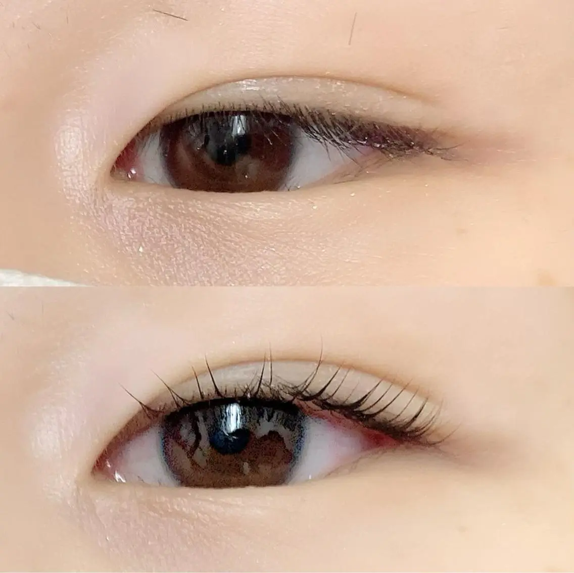 マツエク・マツパ マツパ Libra eyelashのマツエク・マツパデザイン