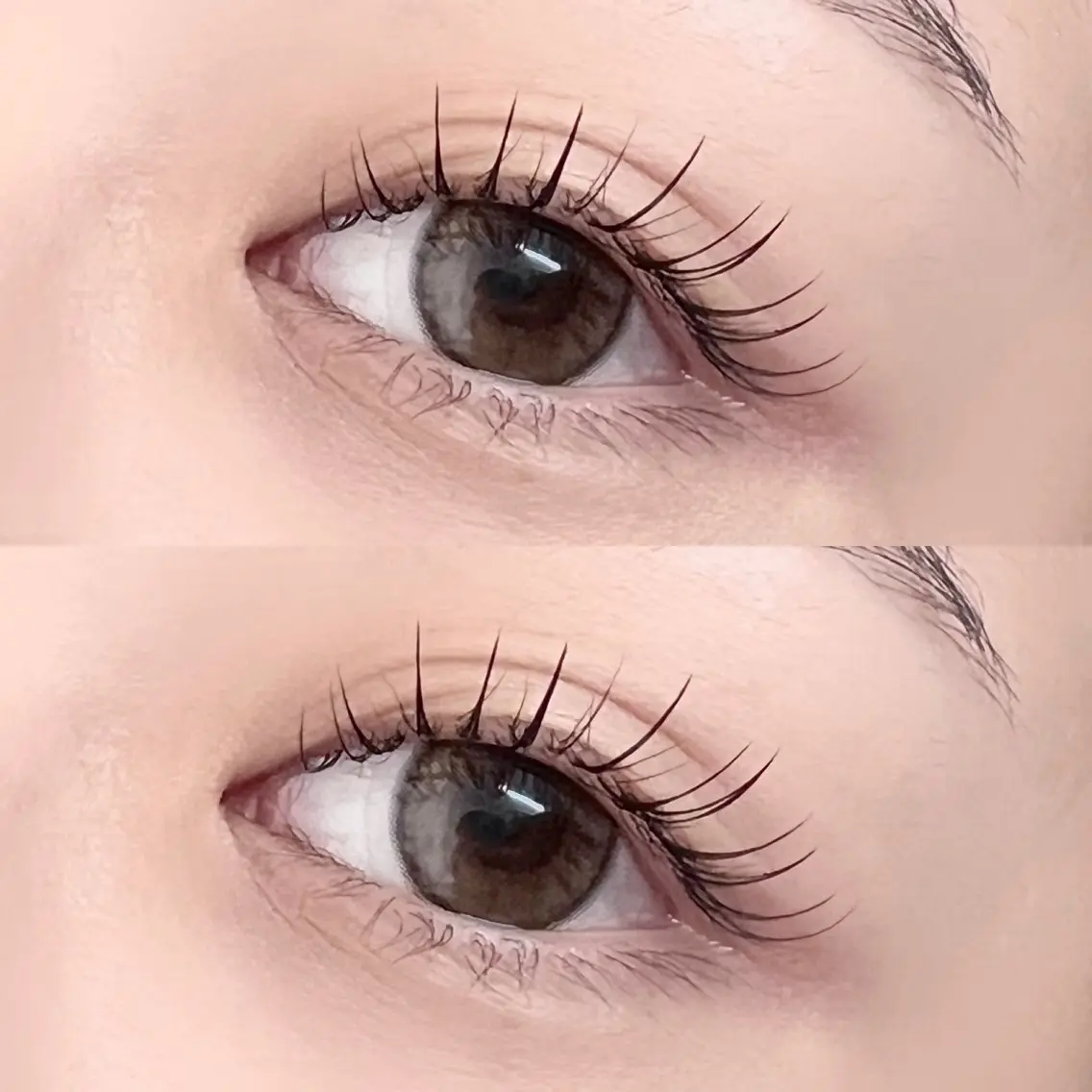 ⭐️期間限定⭐️トップアイリスト施術🧚🏻♀️【パリエク60本/Wフラット装着】の写真
