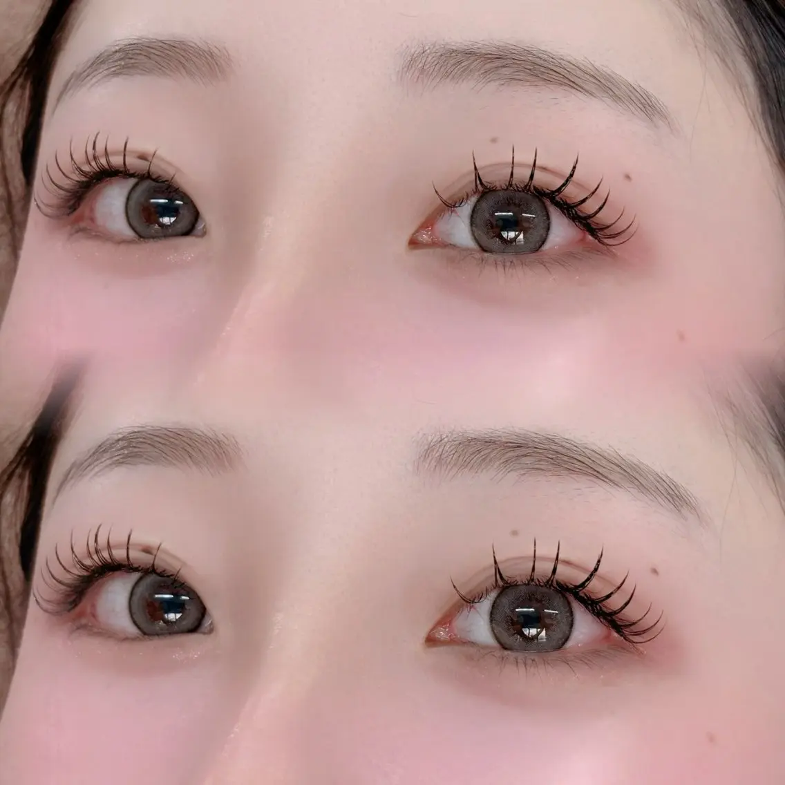 程よくぱっちり✨フラットラッシュ120本|コーティング付🫧の写真