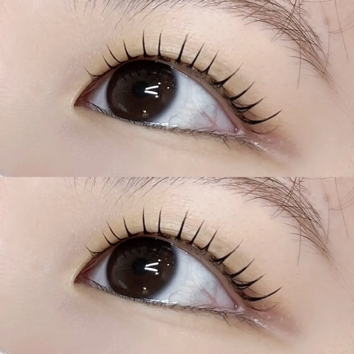 マツエク・マツパ Cカール マツパ Pupu lash  𓃱𓂃のその他イメージ