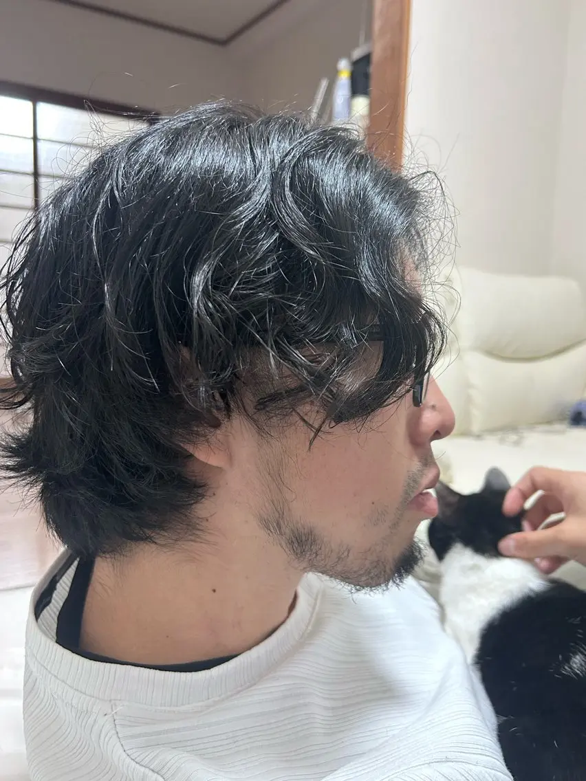 ミディアム パーマ メンズ ミディアムパーマ メンズパーマ メンズウルフカット 伸ばしかけ ウルフカット レイヤー/ボブ/ パーマ/HARUKAのヘアスタイル