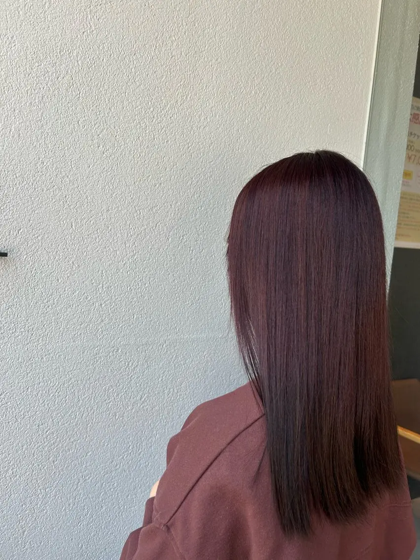 カラー ブラウンカラー カシス 福井 愛瑠のヘアスタイル