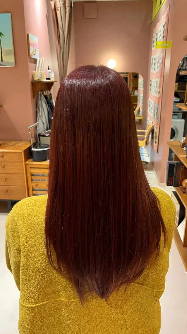 ロング カラー ヘアカラー 【YA/HI】 エンドウのヘアスタイル