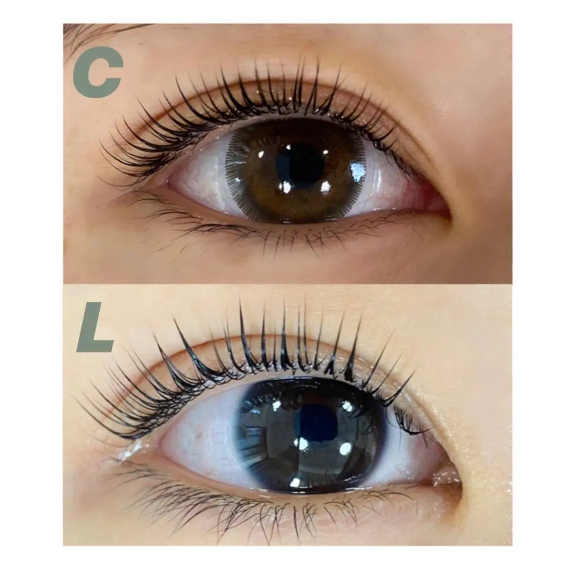 マツエク・マツパ マツパ eyelashZen ♥️HIMEのマツエク・マツパデザイン