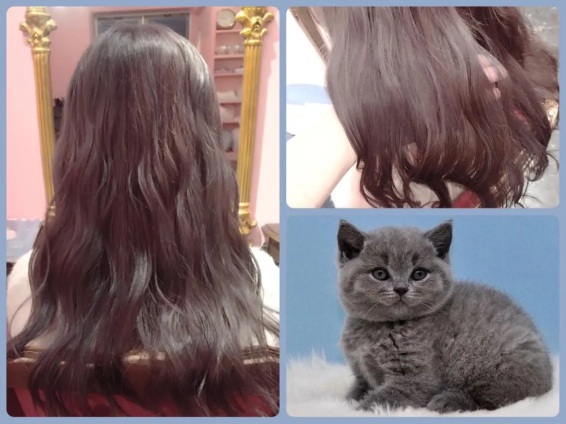 セミロング ロング カラー アッシュ 櫻井 愛弓のヘアスタイル
