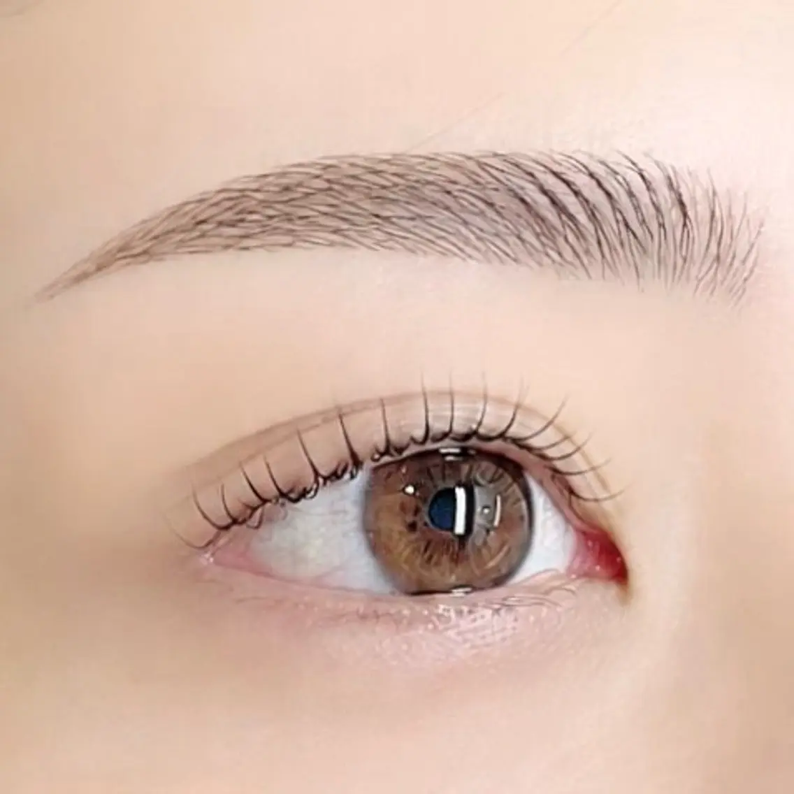 美眉Wax練習モデル募集の写真