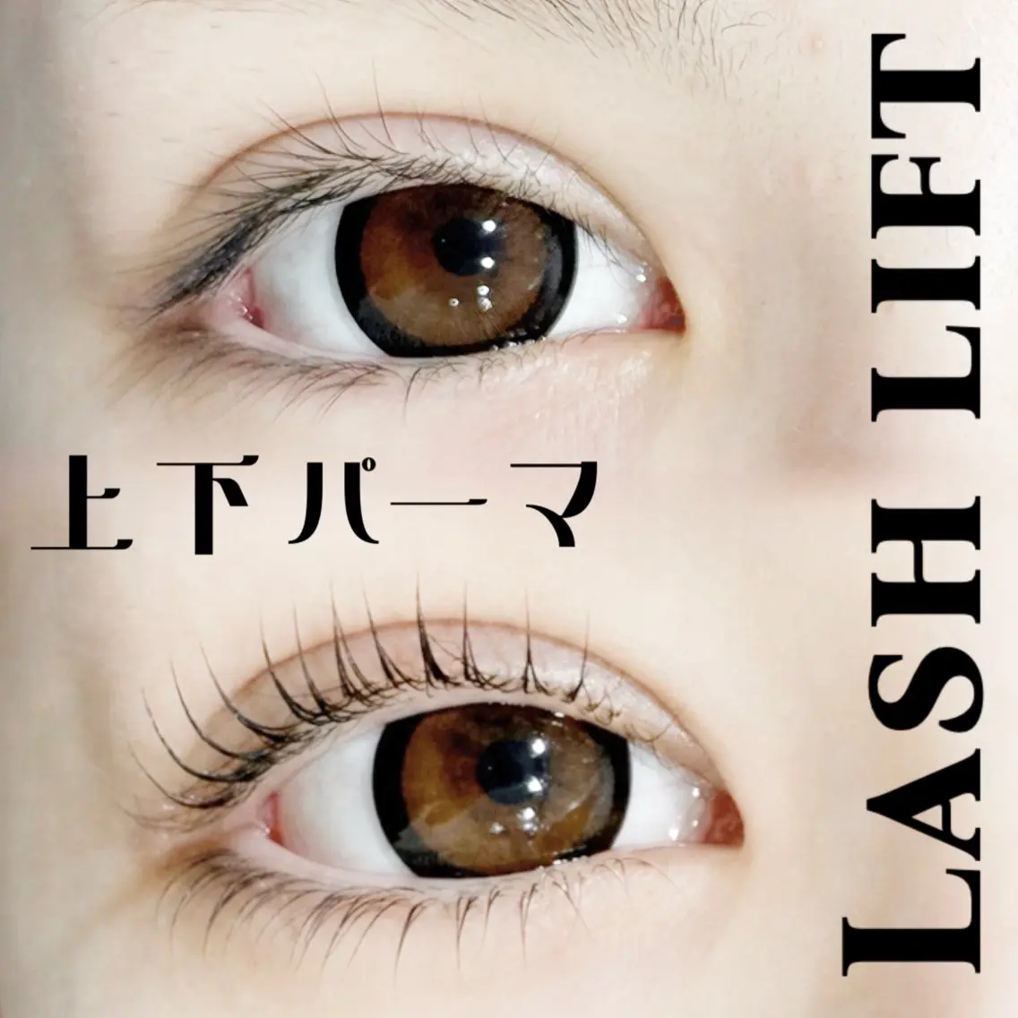 【初回限定】🪼上下まつ毛パーマ🪼束感仕上げ✨️⚠︎現金のみの写真