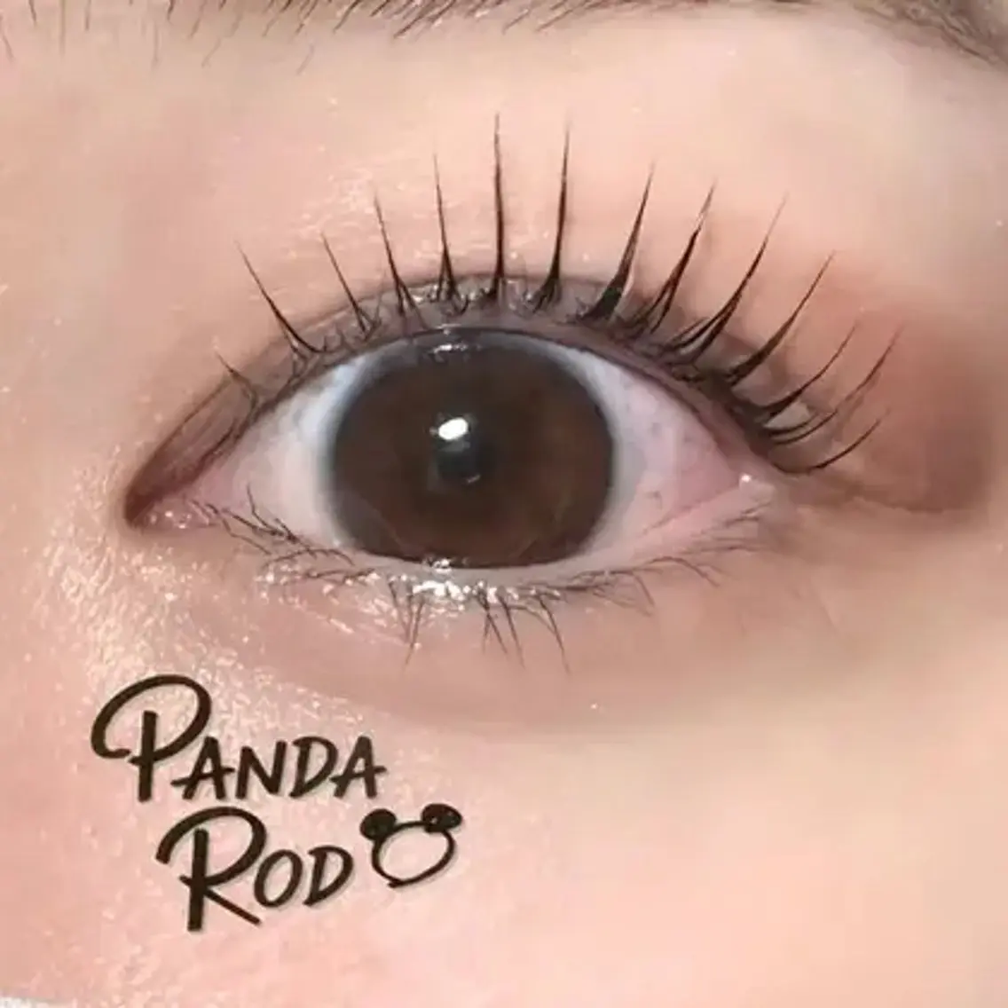 【パンダロッド🐼】で根本から毛先までストレート上げ💗🫧の写真