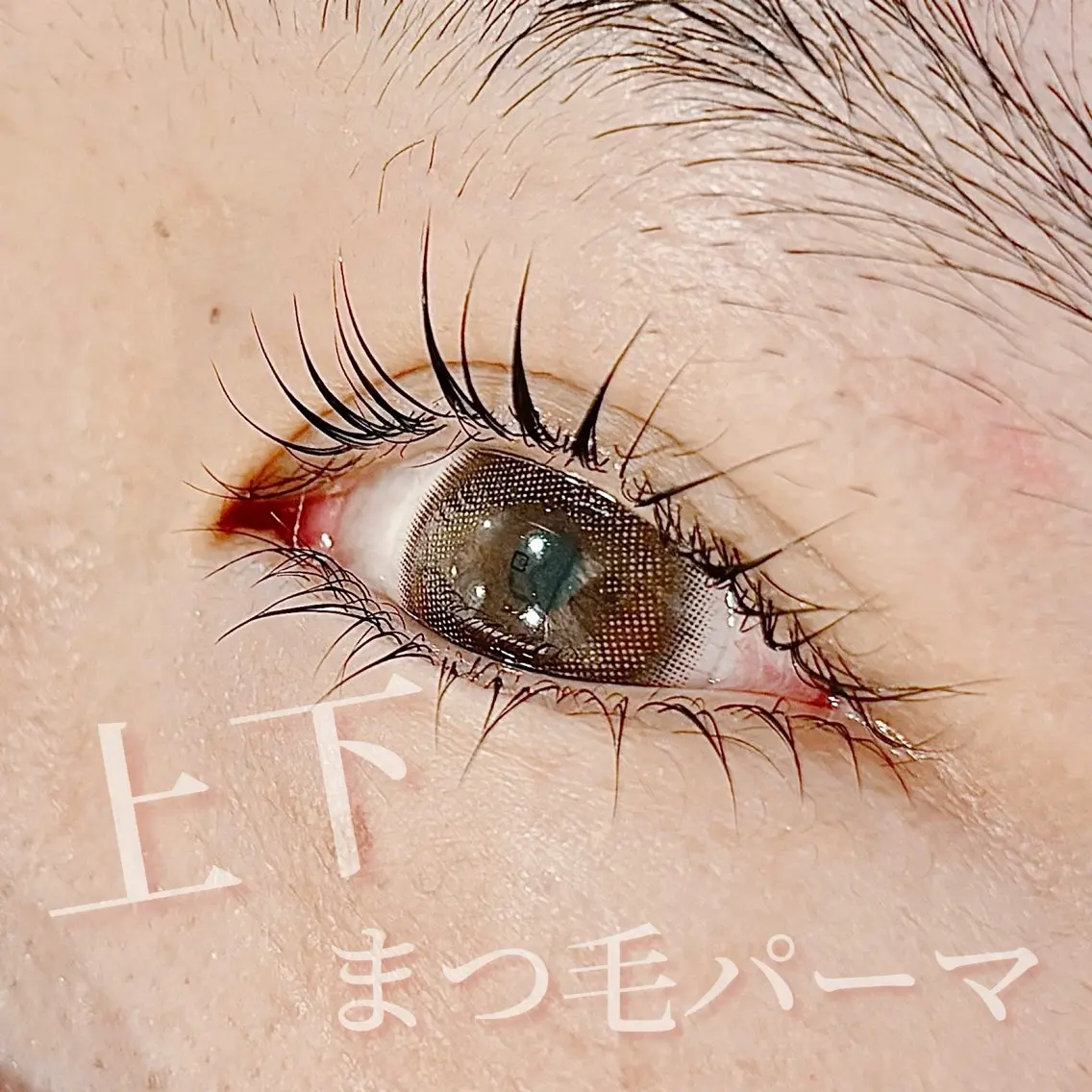 マツエク・マツパ まつげパーマ 下まつげエクステ ✧elpatio✧︎ 小出紗羅のマツエク・マツパデザイン