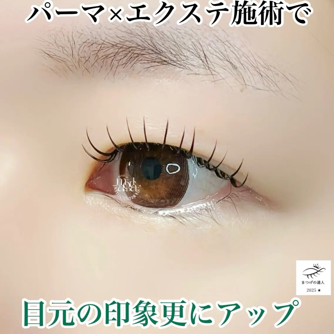 まつ毛の魔法🪄︎︎✨マジカルパーマエクステ(エクステ両目合計100本/オフ&目元ケア付きコースの写真