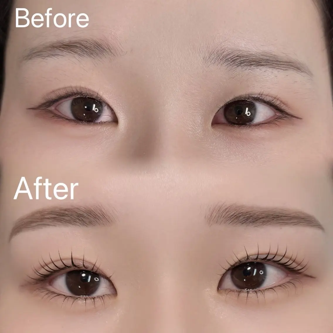 韓国式🇰🇷まつげパーマ上＋眉毛waxの写真